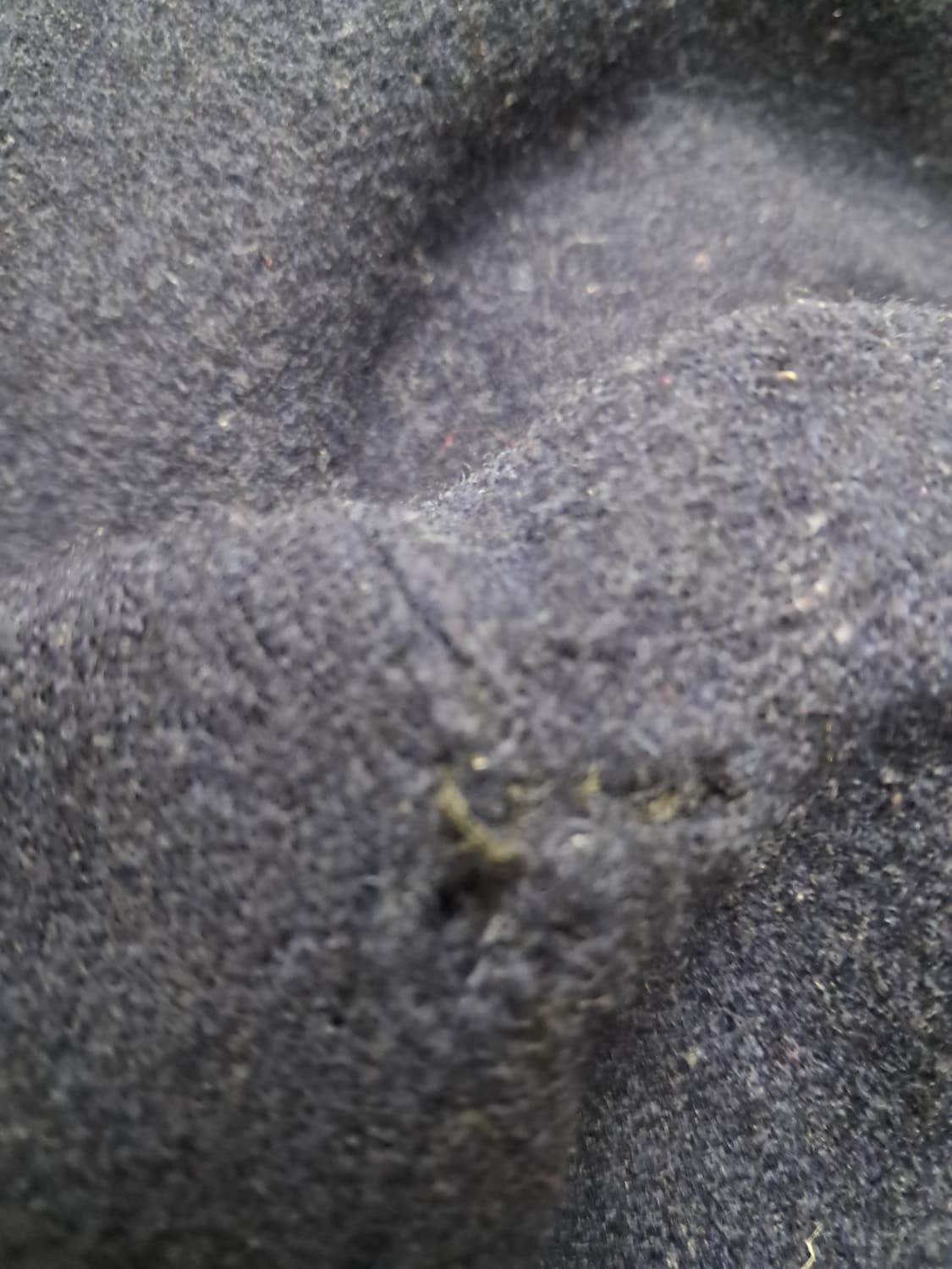 버버리 램스울 니트 상품이미지5