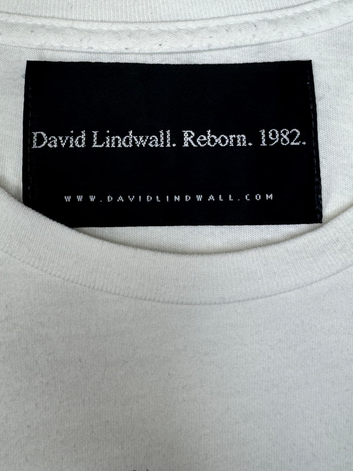 빈티지 David Lindwall 기무라타쿠야 LSH 티셔츠 L 상품이미지4