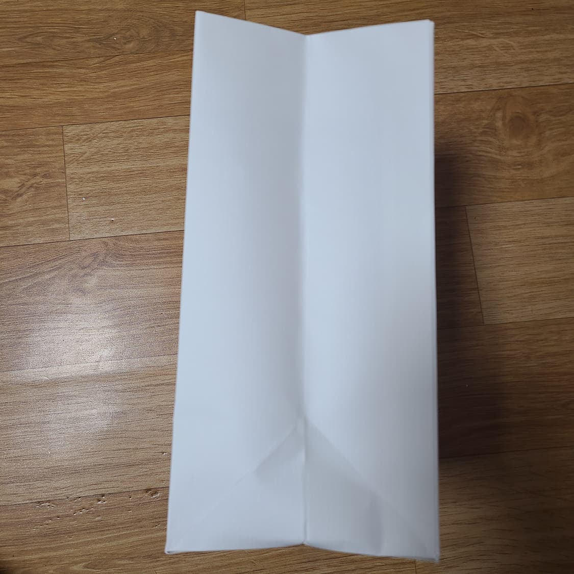 셀린느 쇼핑백 상품이미지3