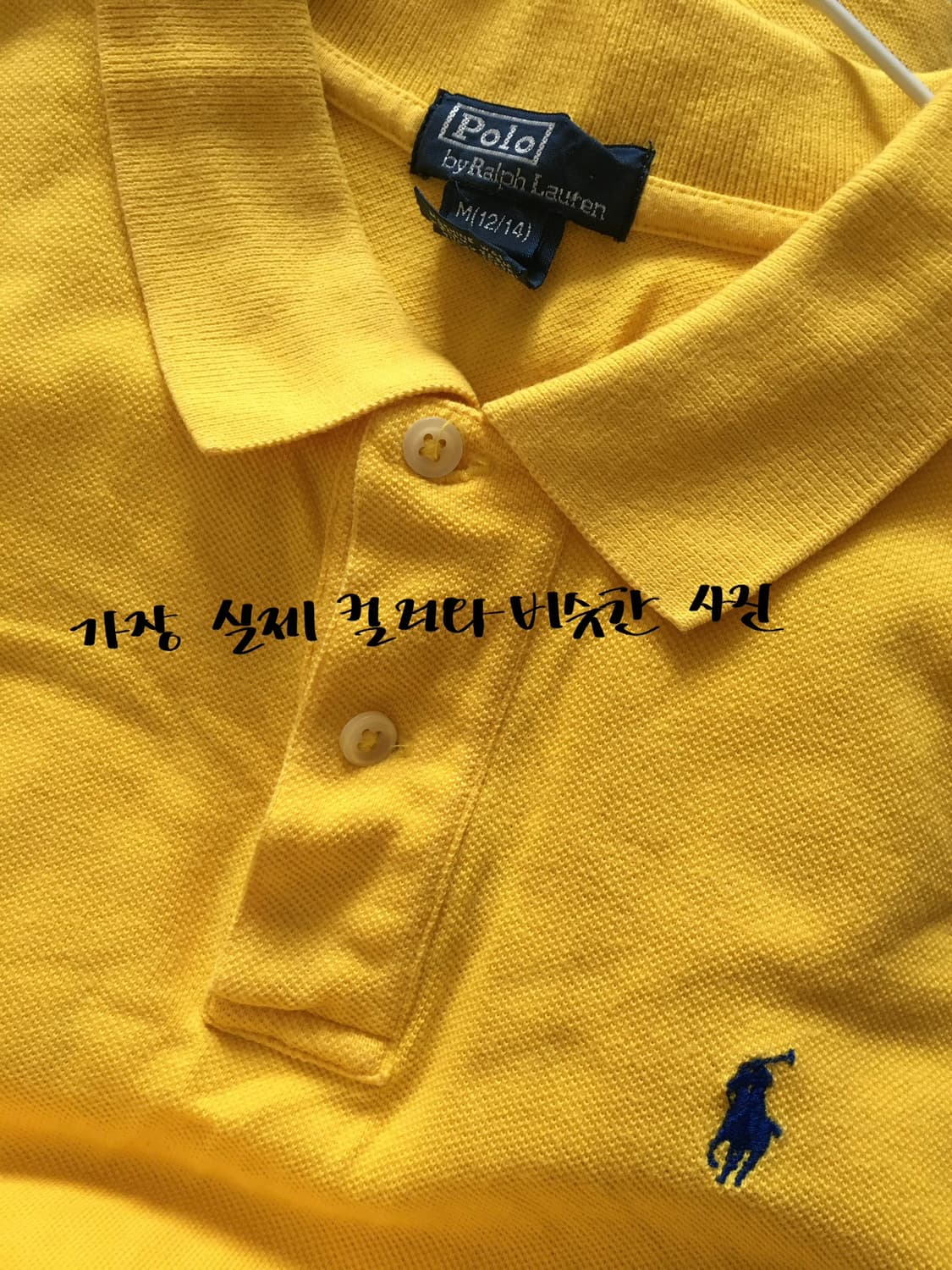 폴로 카라티 반팔 상품이미지6