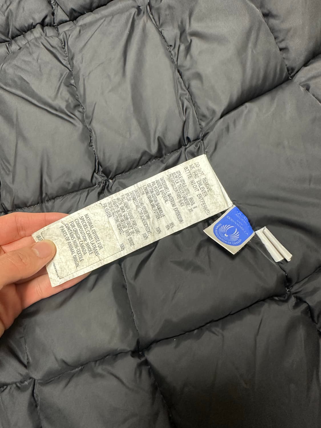 캐나다구스 xs 여성패딩 정품 상품이미지4