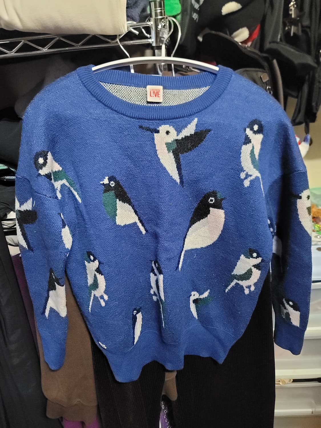 라코스테 니트 상품이미지1