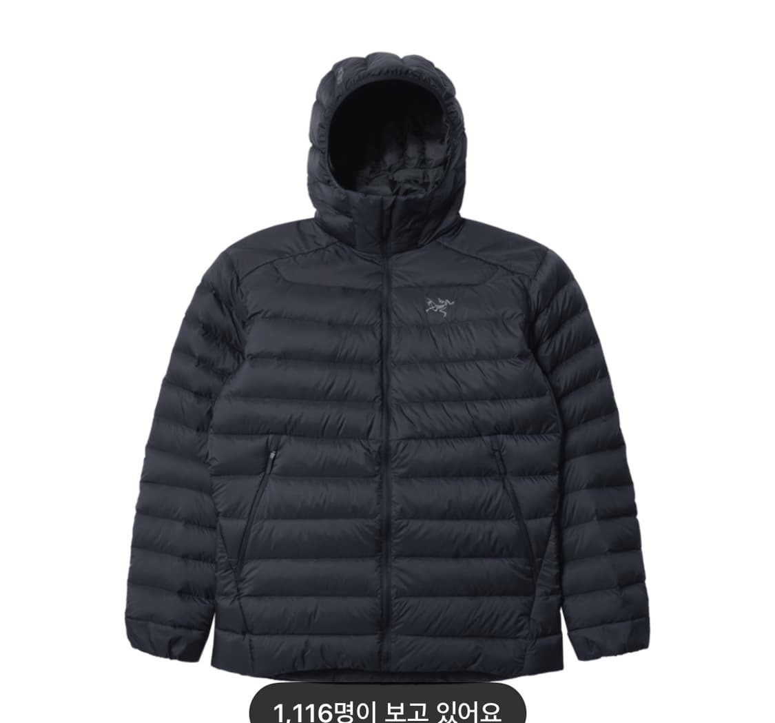 아크테릭스 세륨 후디 블랙 사파이어 L 상품이미지1