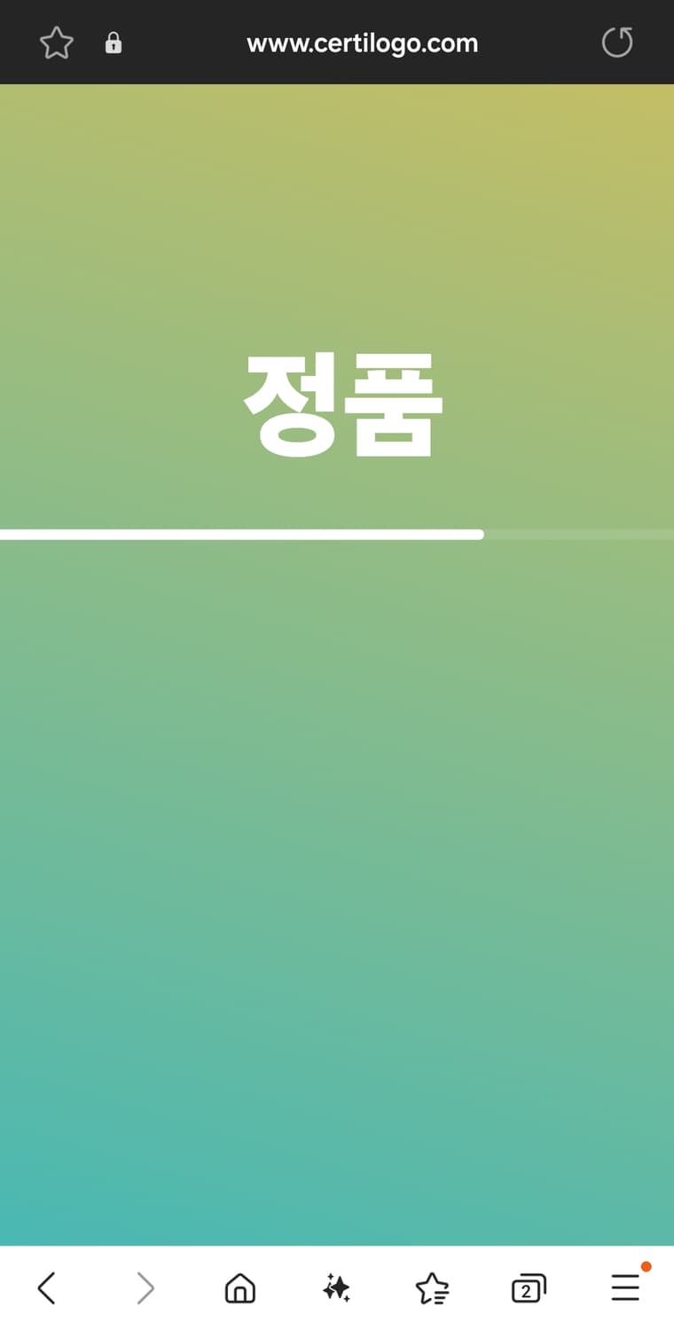 (착샷) 스톤아일랜드 나일론 오버셔츠 메탈에코닐 상품이미지7