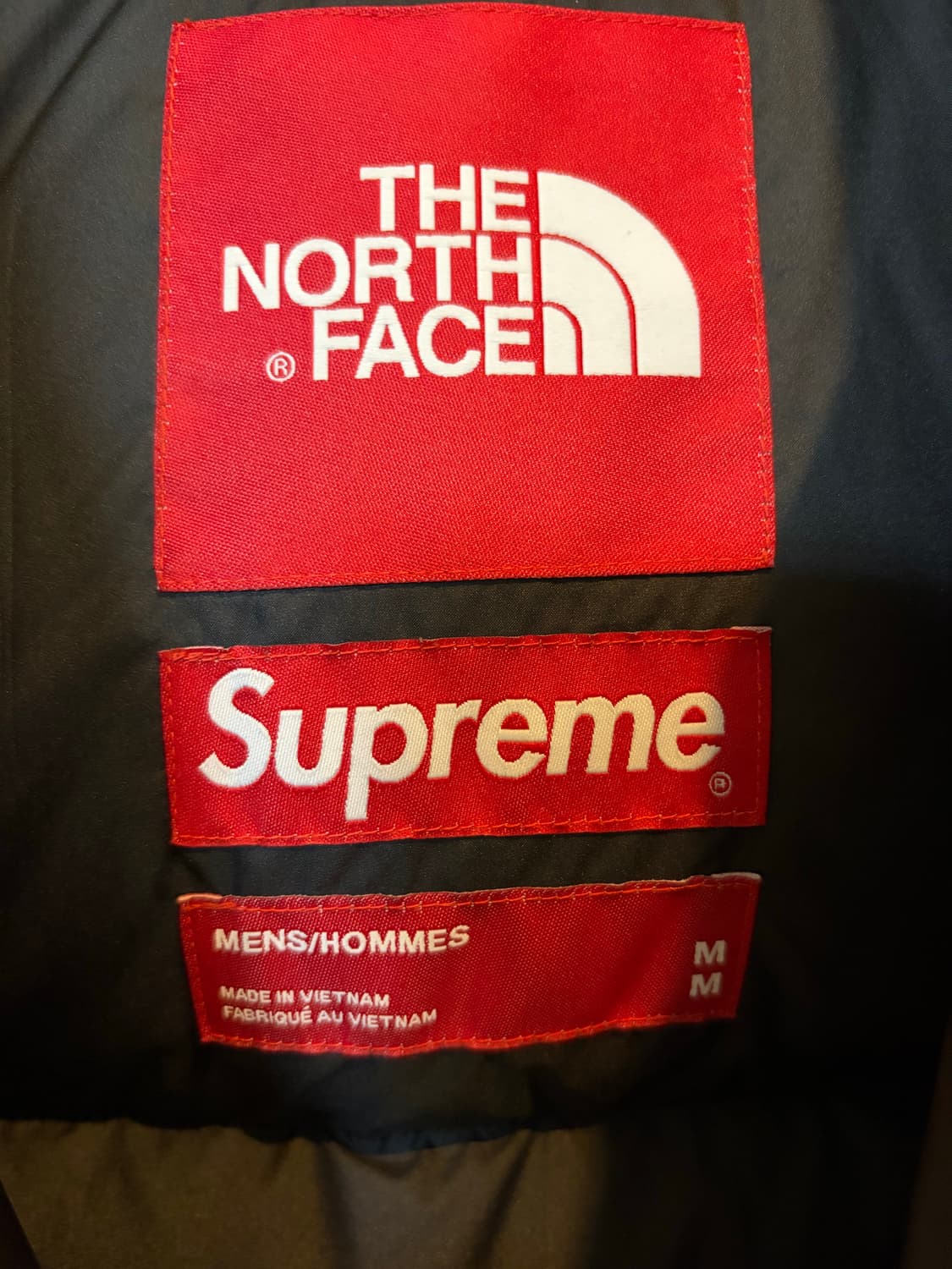 슈프림 노스페이스 자유의 여신상 발토로 패딩 상품이미지5