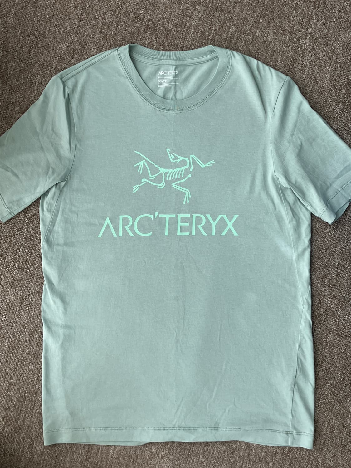 ARCTERYX T-shirt (xs) 상품이미지1