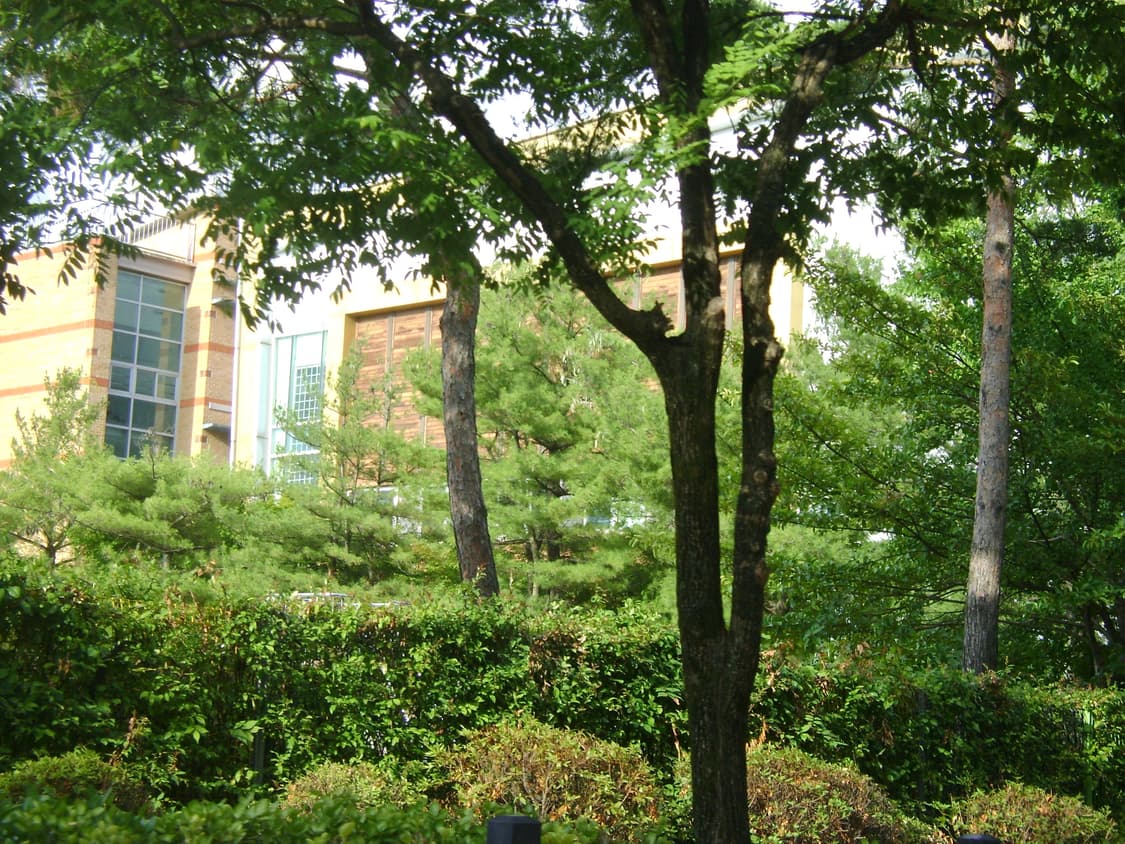 라이카&희귀!) Leica x Panasonic DMC-LX5 상품이미지2