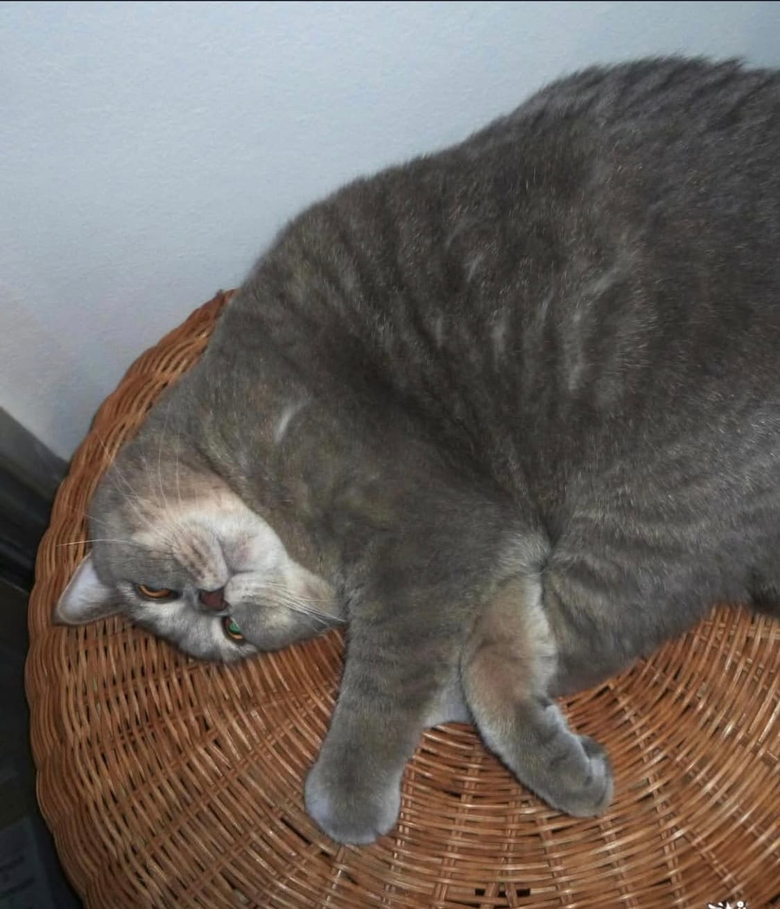 파나소닉 루믹스 FX60 핑크 💕 색감 예쁜 감성 디카 상품이미지8