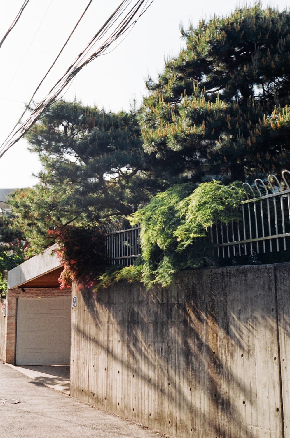 콘탁스 g1 + 45mm + 90mm + TLA200 등 상품이미지9