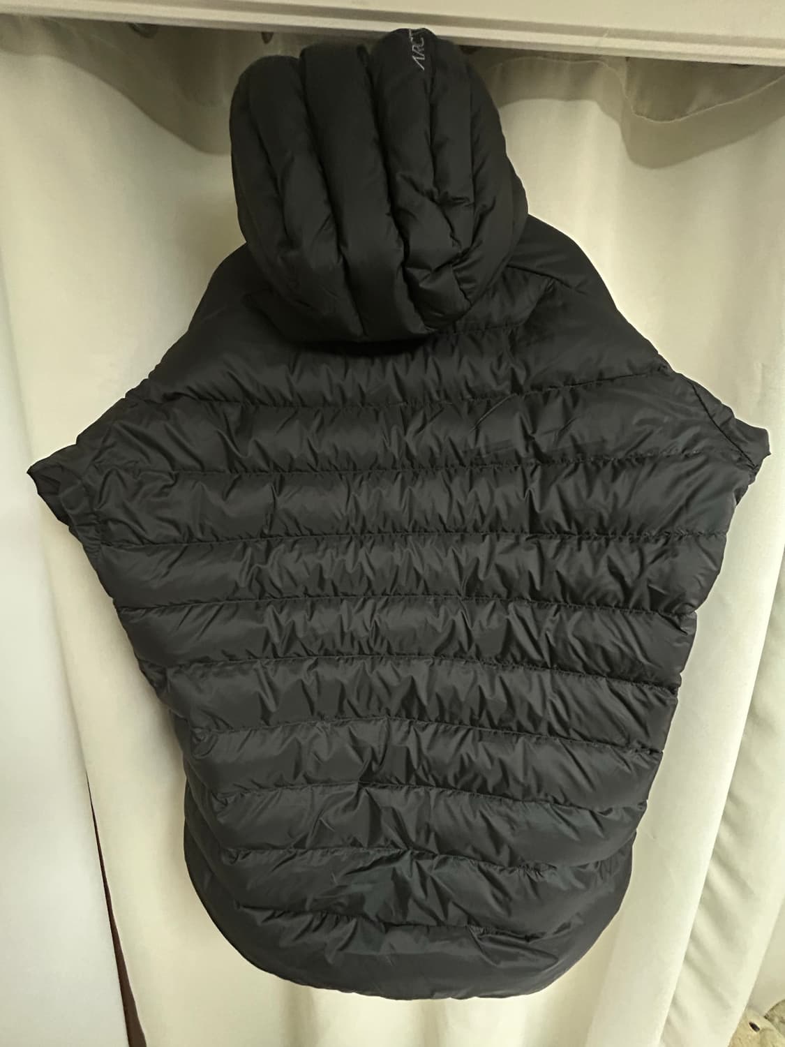 아크테릭스 세륨 후디 블랙 L 상품이미지2