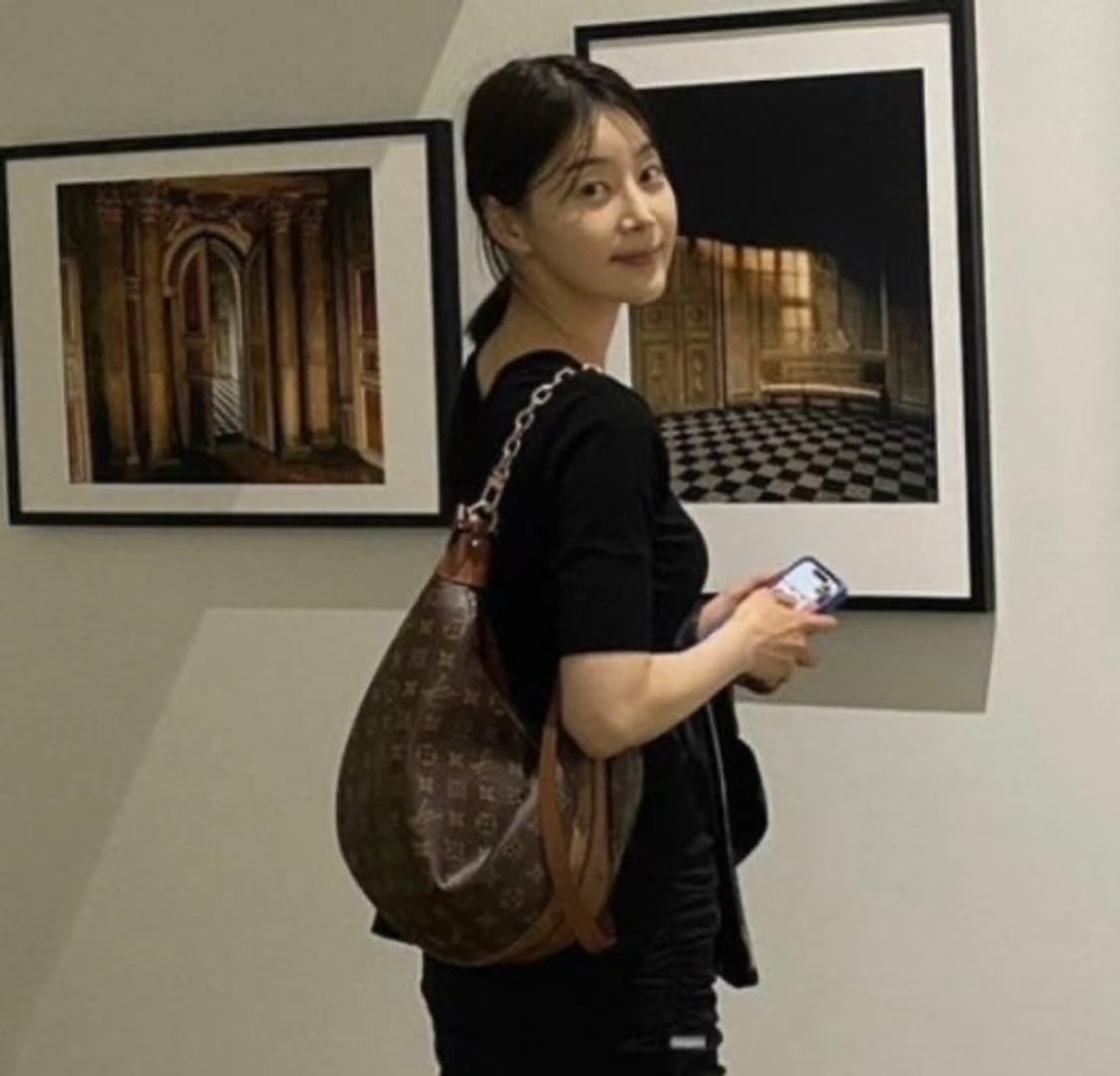 루이비통 루프 호보백 상품이미지4