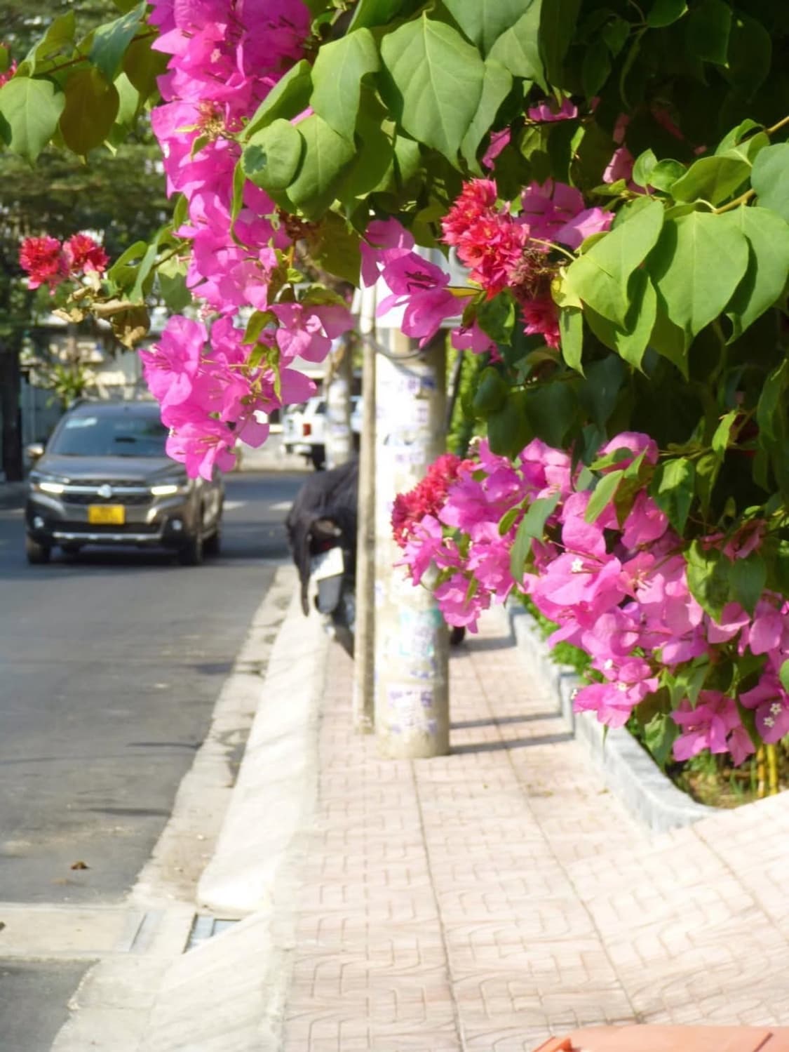 Panasonic Lumix SZ7 루믹스sz7 상품이미지2