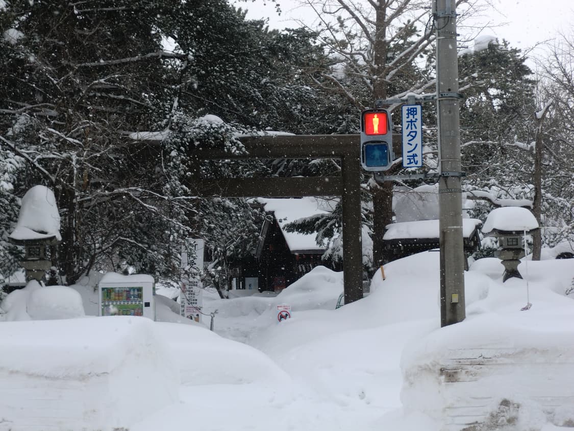 필름감성 빈티지 디카 카시오 엑슬림 ex-z330 작례o 상품이미지4