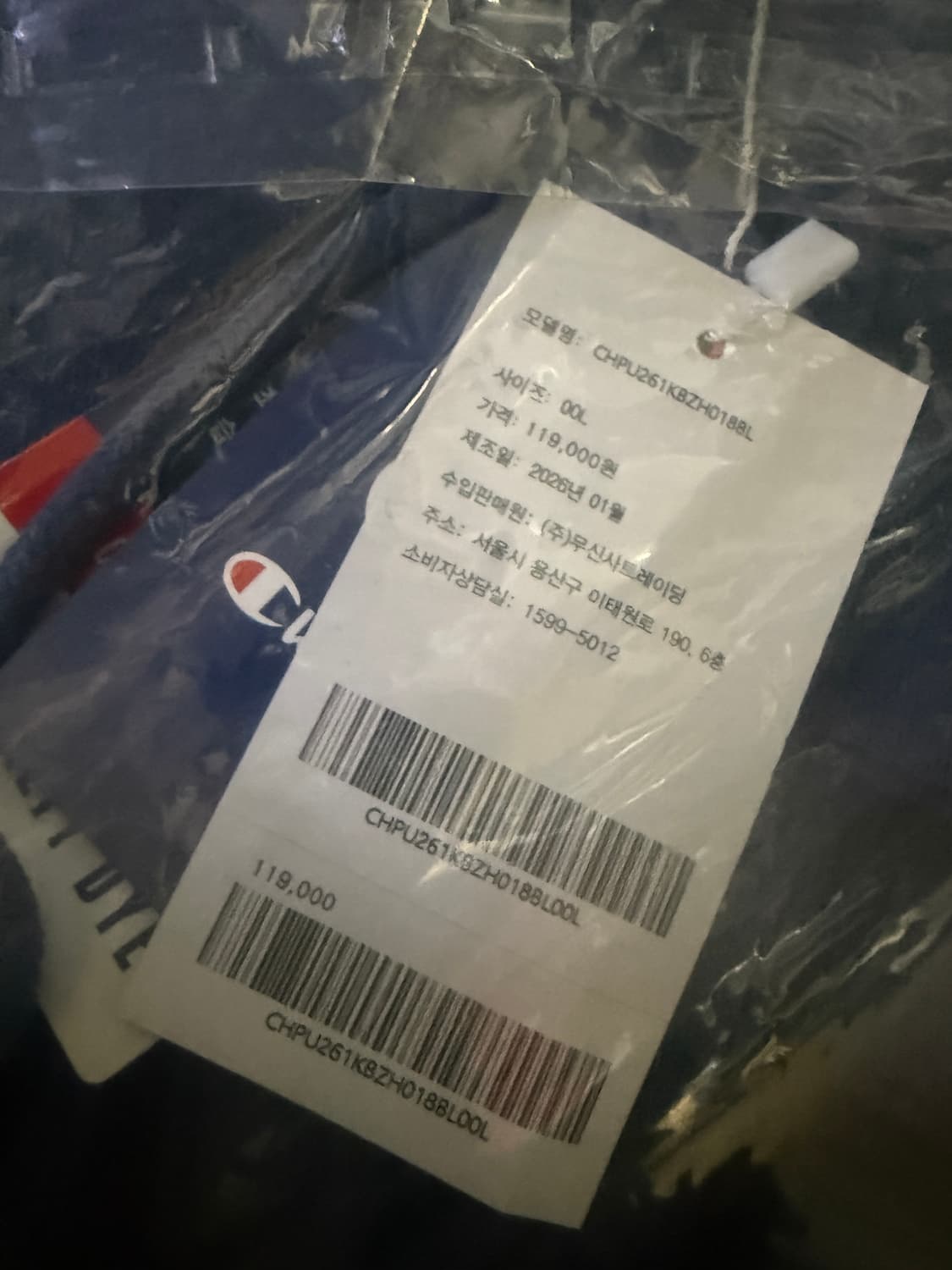 L사이즈 챔피온 아치로고 가먼트다잉 후드집업 블루 상품이미지2