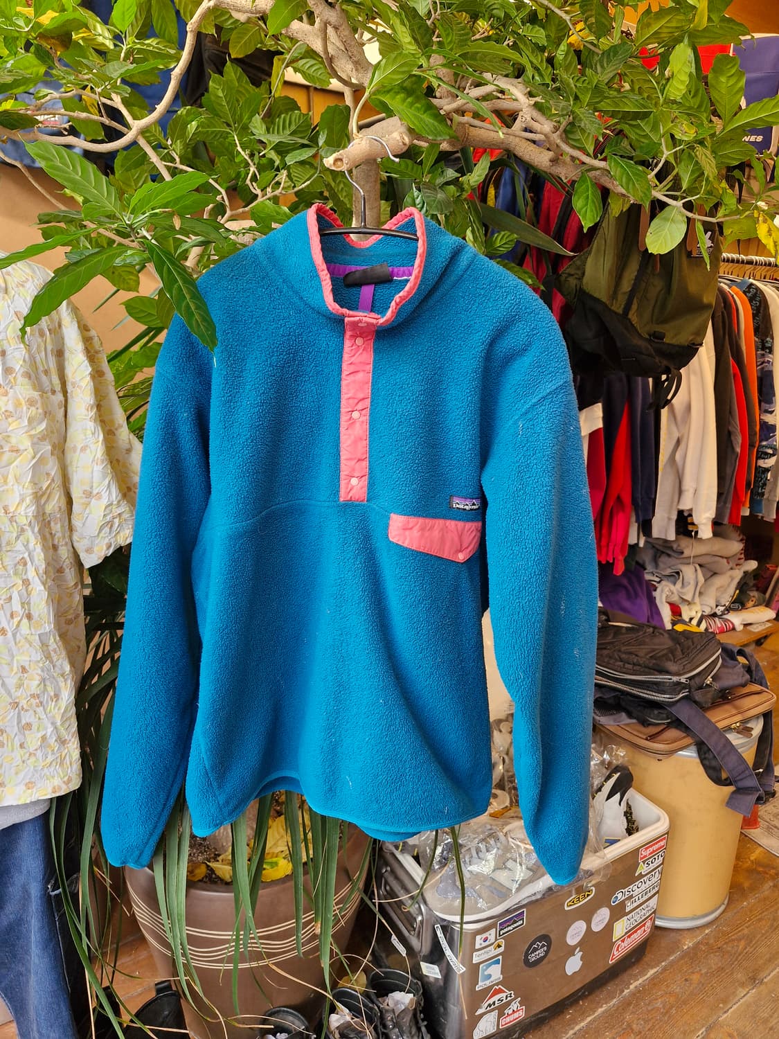 Z-307 파타고니아 신칠라  상품이미지1