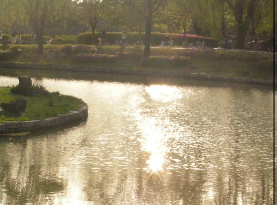 (작례ㅇ) 산요작티 dmx ca9 빈티지 디지털 카메라 캠코더 뉴진스 상품이미지6