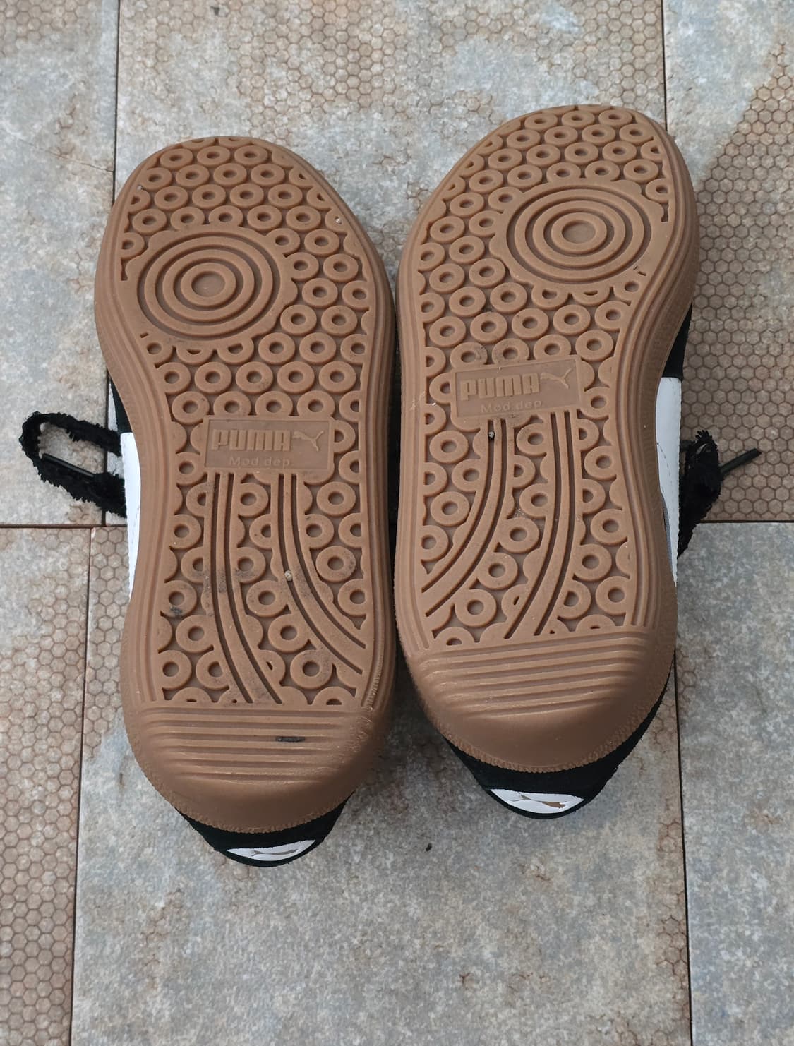 (225)푸마 팔레르모 와이드 레이스 sd 상품이미지8