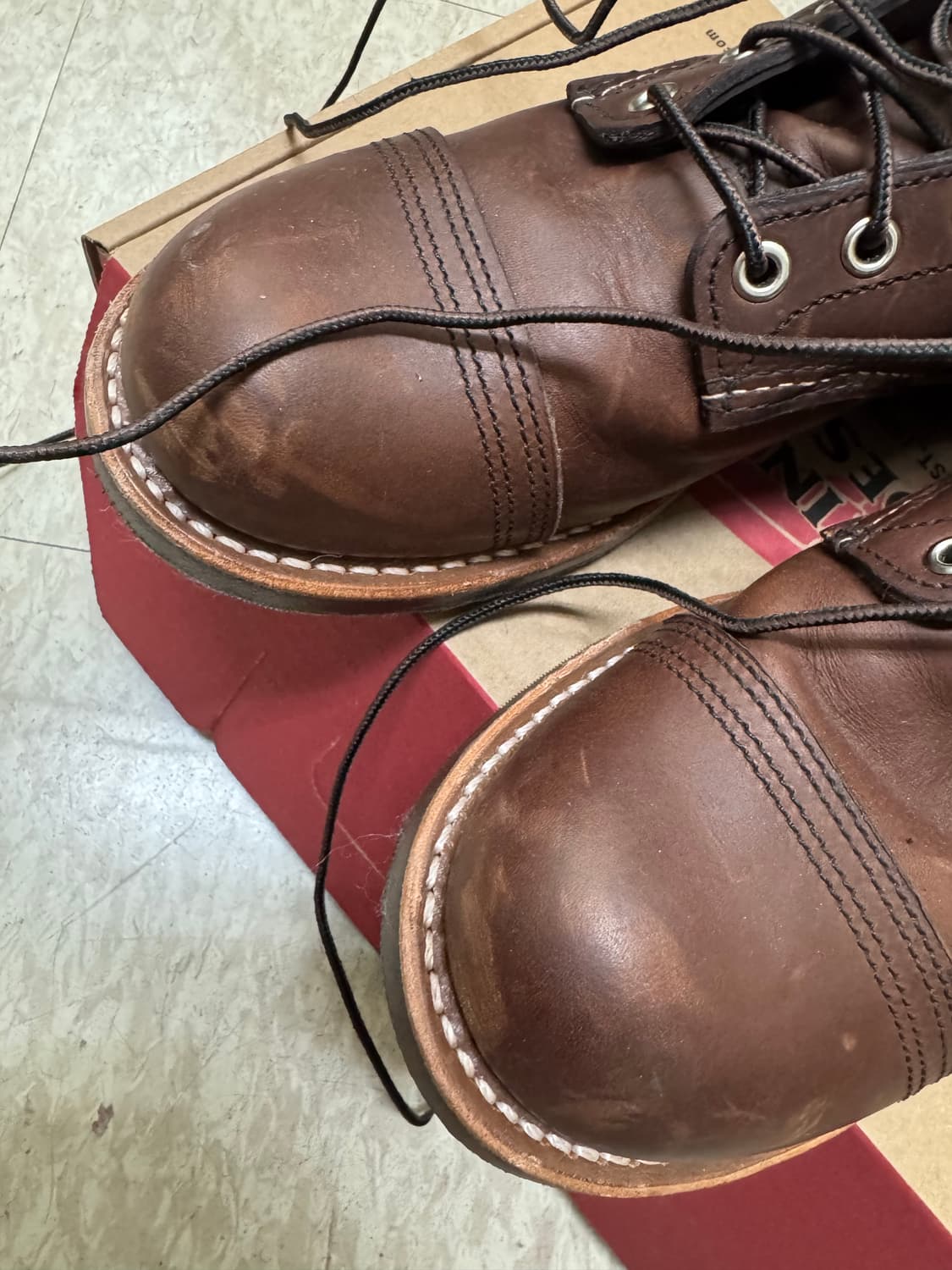 레드윙 아렌 8111 엠버하니스 260 상품이미지4