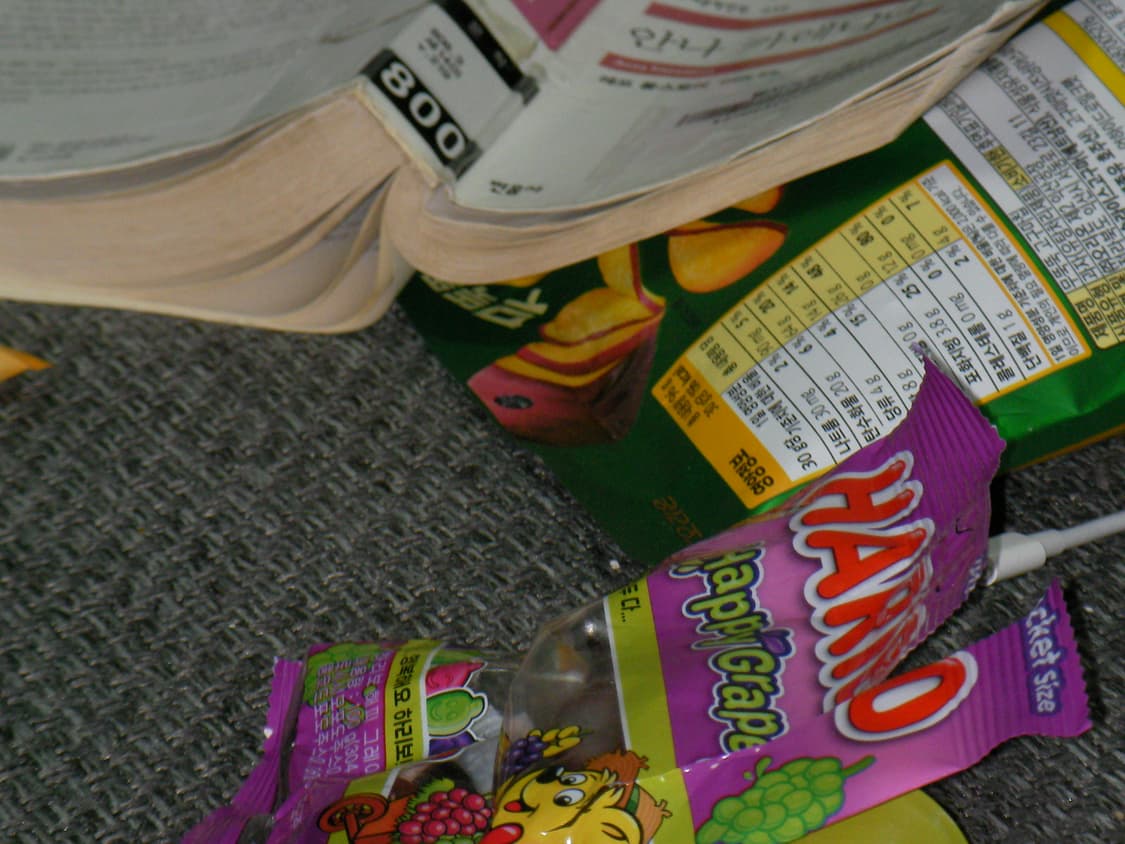 산요작티 ca6/sanyo xacti ca6/정품배터리충전기/작례포함 상품이미지7