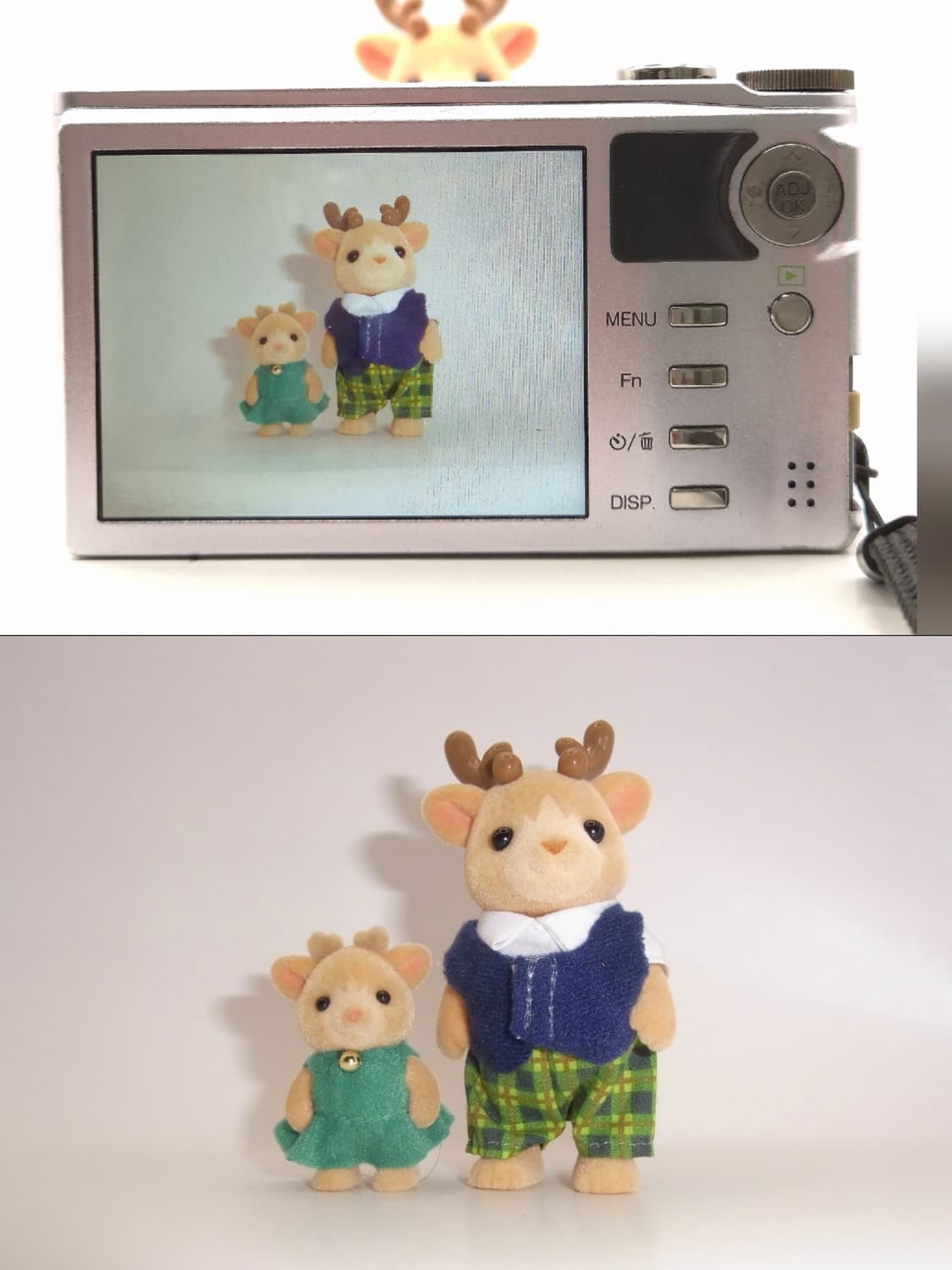 키키 & 로라 픽 📸 리코 CX3 라벤더 퍼플 | 감성 줌 디카 💜 상품이미지6