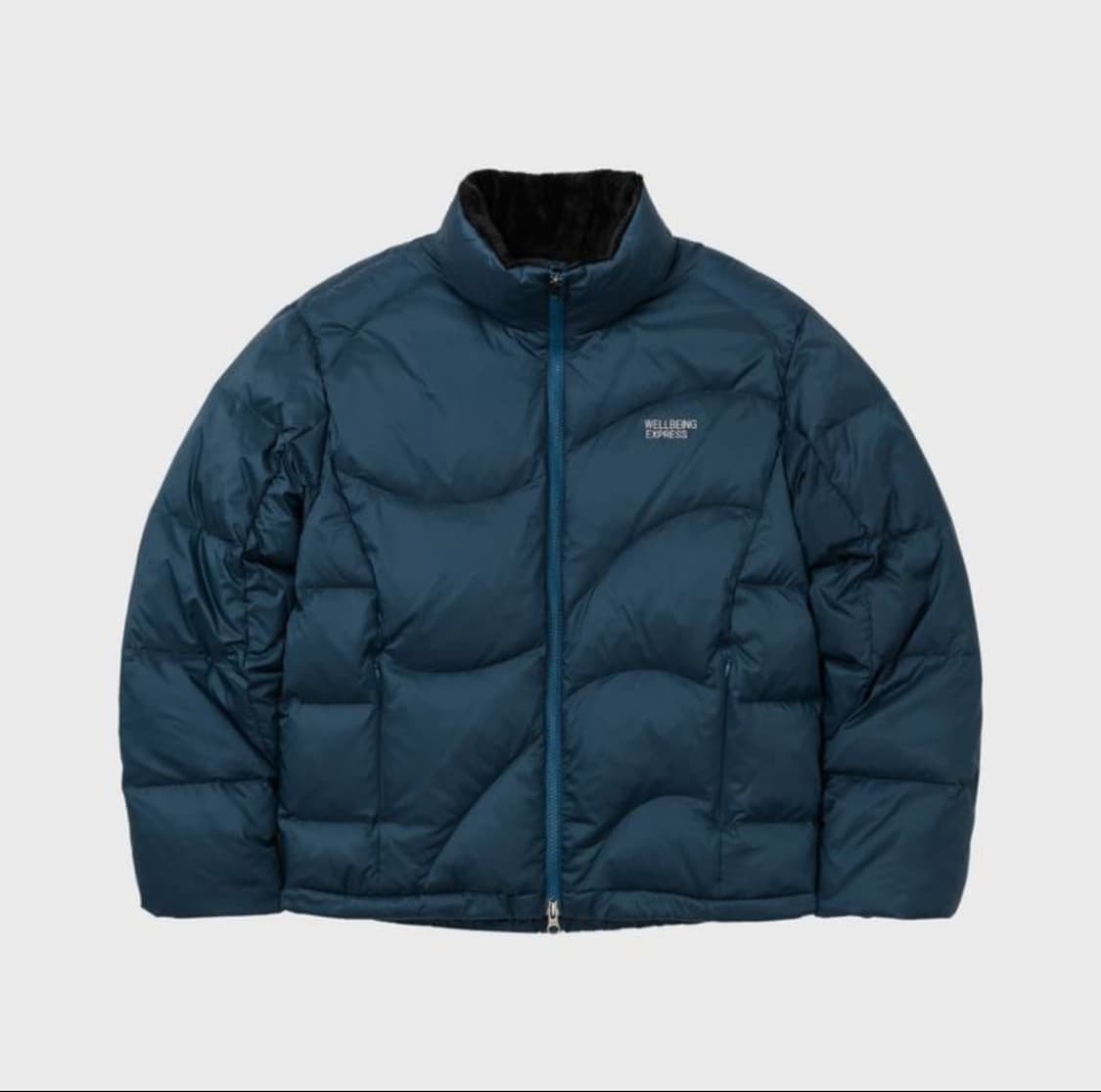 웰빙익스프레스 패딩 wave down jacket S 상품이미지1