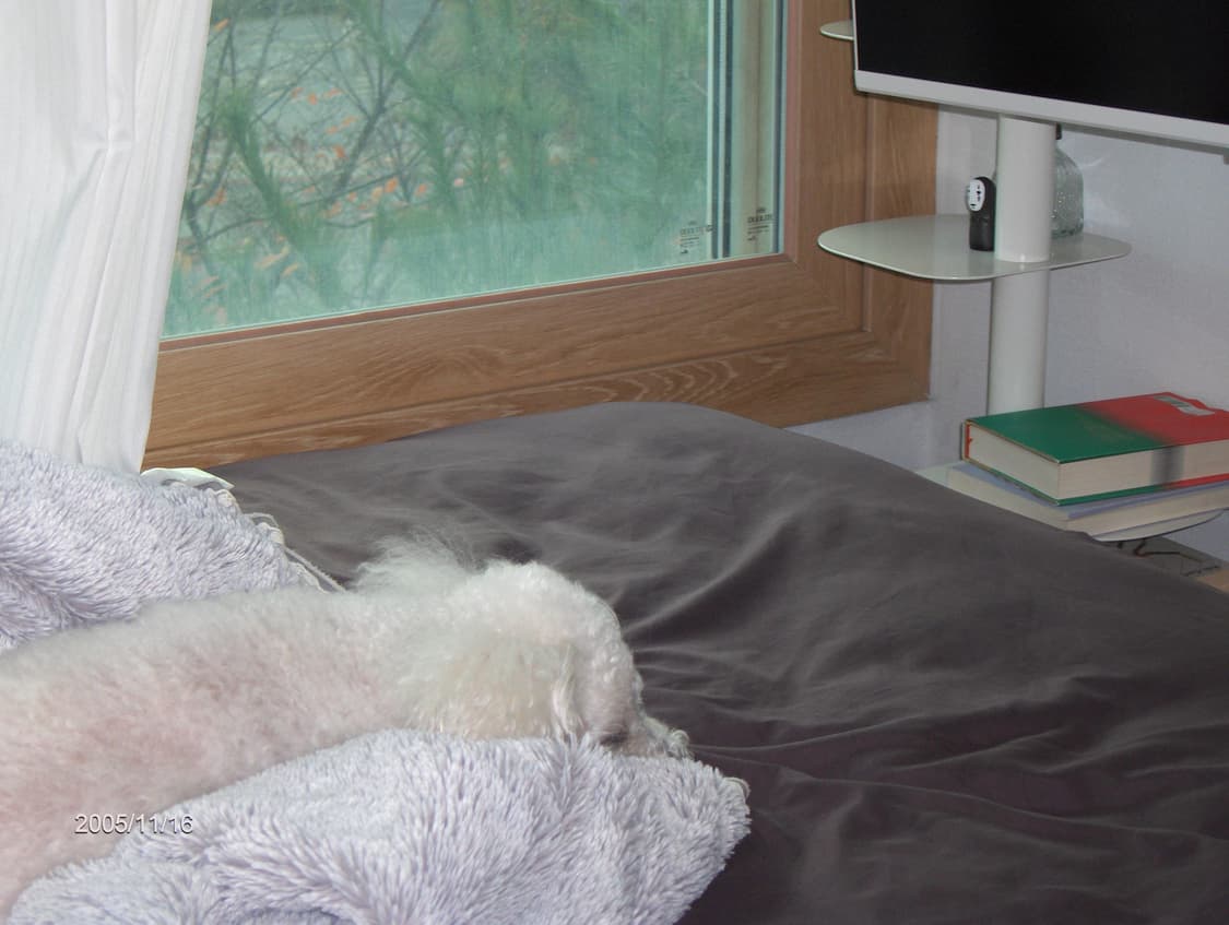 Hp 포토스마트 R717 빈티지 디지털카메라 상품이미지9