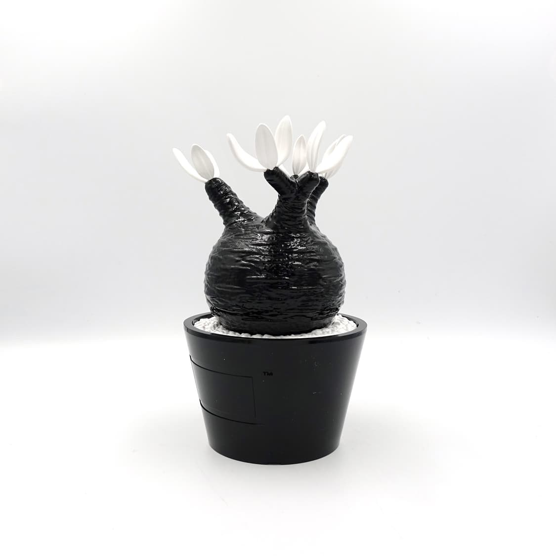 BOTANIZE 보타나이즈 메디콤토이 블랙 화이트 화분 아트토이 상품이미지4