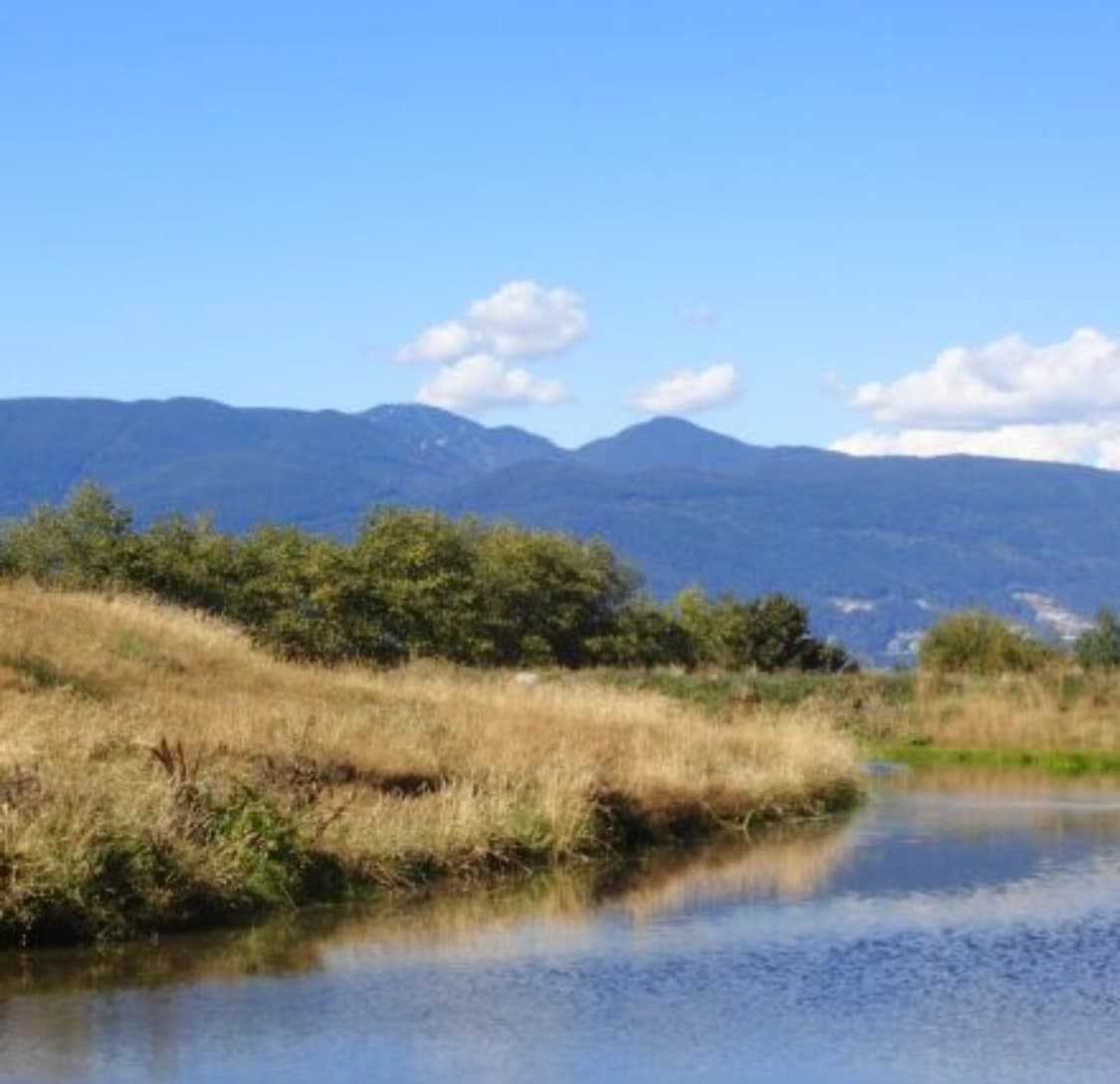 (진짜귀한매물/작례)📸 올림푸스 VH-515 블랙 (한국어 지원) 상품이미지9