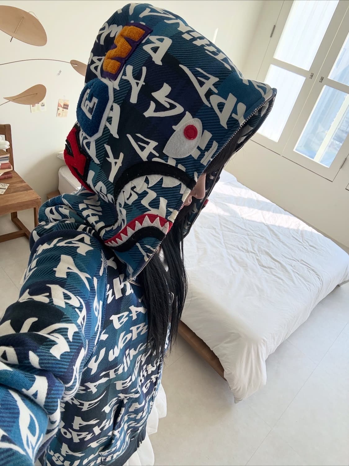 갸인겅제 상품이미지1