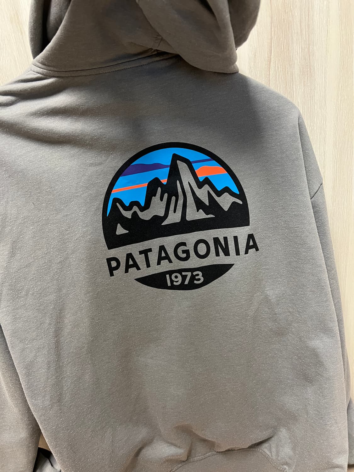 파타고니아 집업 후드 L 상품이미지1