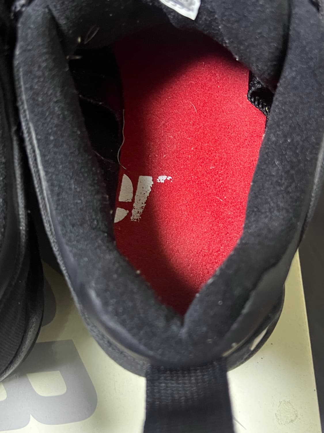 슈프림 sb 다윈 290 상품이미지6