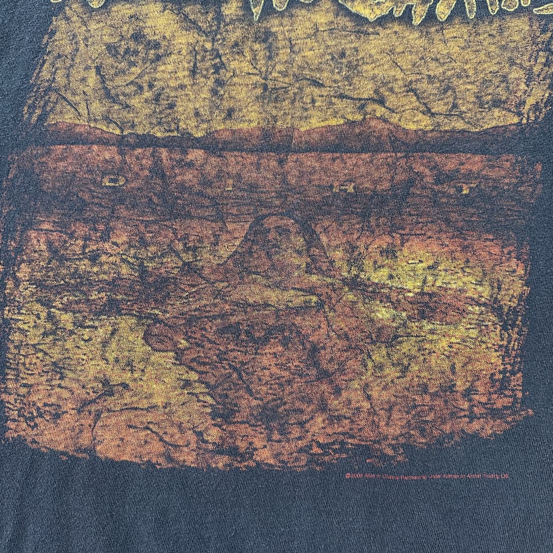 00s 앨리스 인 체인스 Dirt 빈티지 티셔츠 XL 상품이미지7