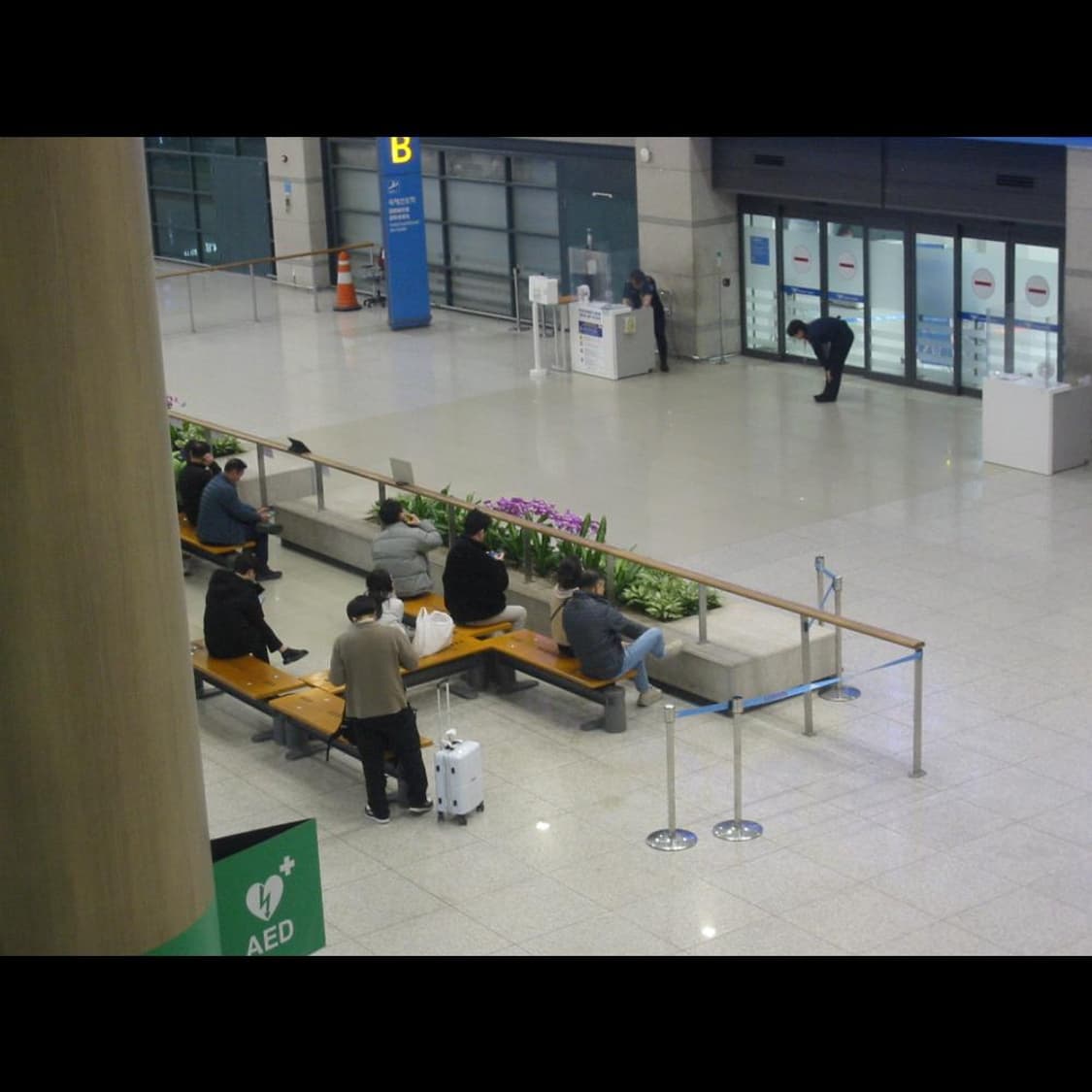 작례⭕️ 캐논 IXY 200 레드벨벳 조이 카메라 상품이미지5