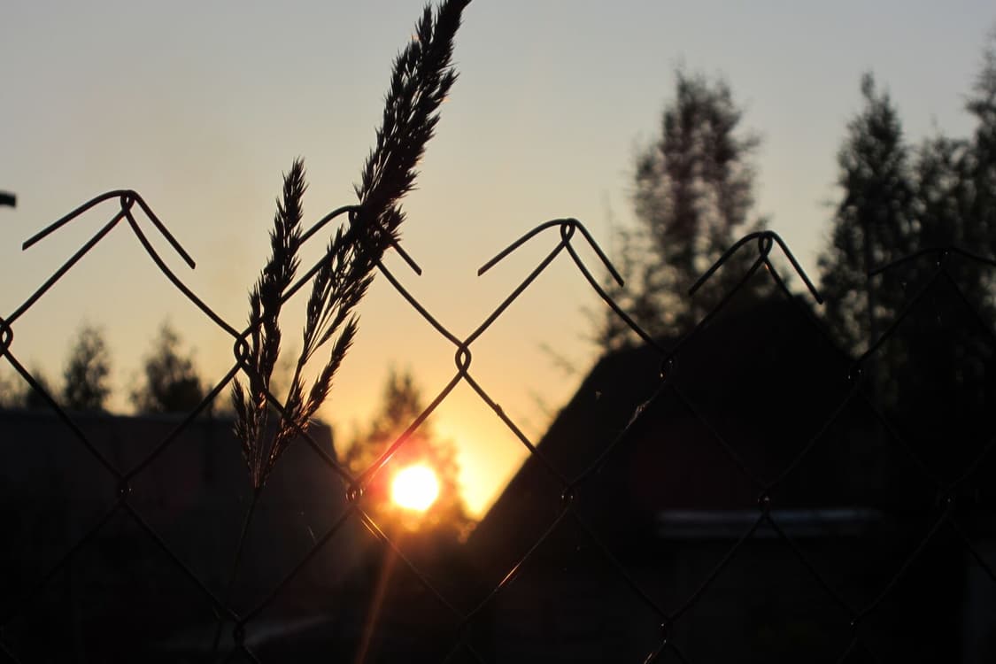 캐논 익서스 Canon IXUS 310 HS 핑크 상품이미지4