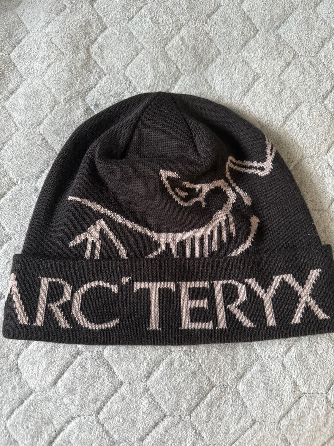 아크테릭스 비니 상품이미지1