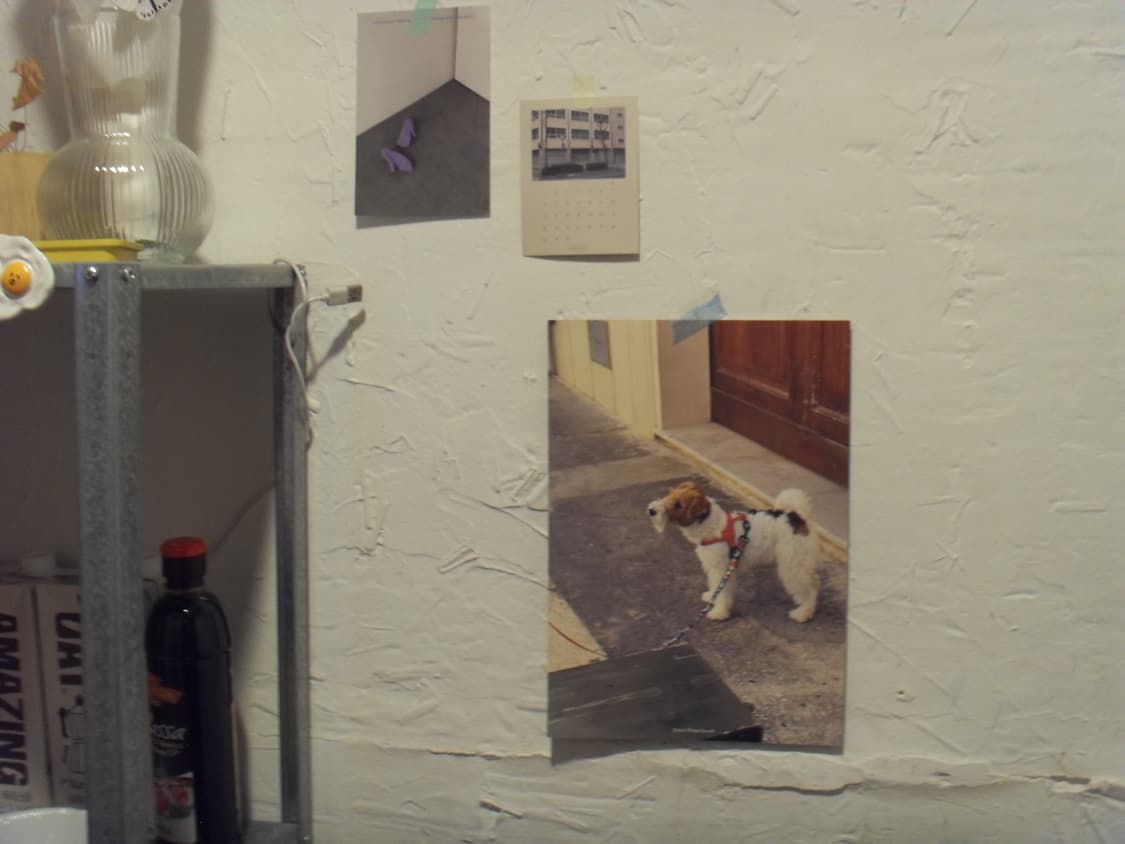 삼성 VLUU i100 디카 상품이미지10