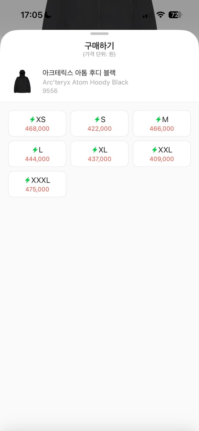 아크테릭스 아톰 후디 상품이미지2