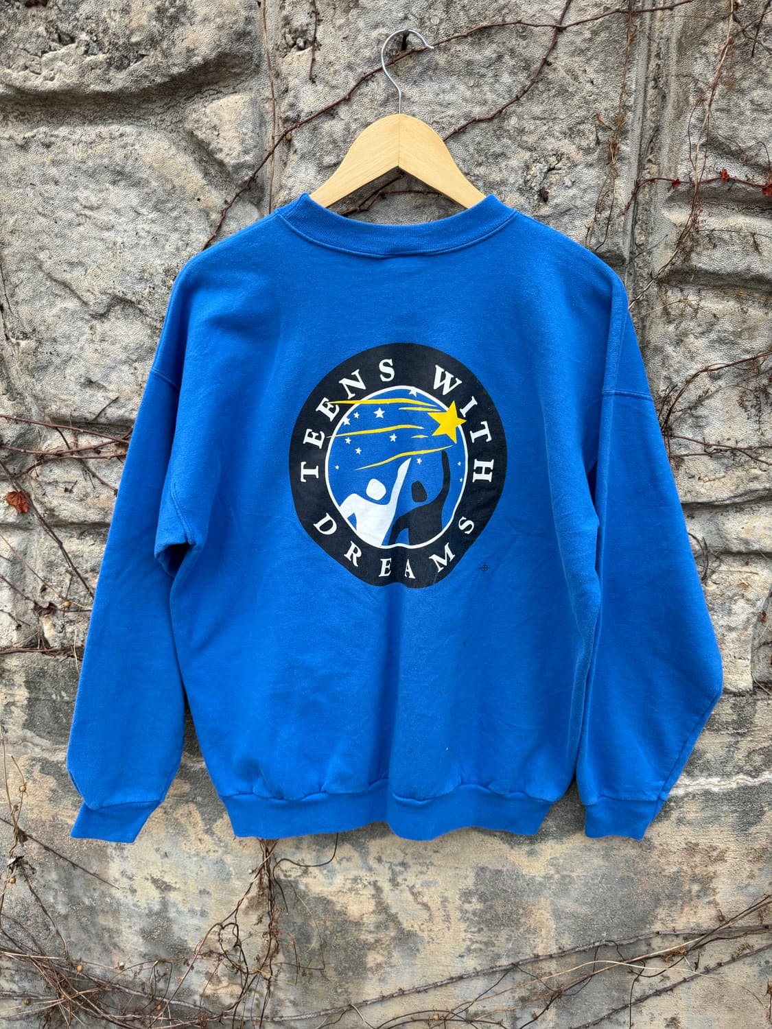 00s 헤인즈 빈티지 컨디션 양면 프린팅 스웻 셔츠 맨투맨 블루 상품이미지2