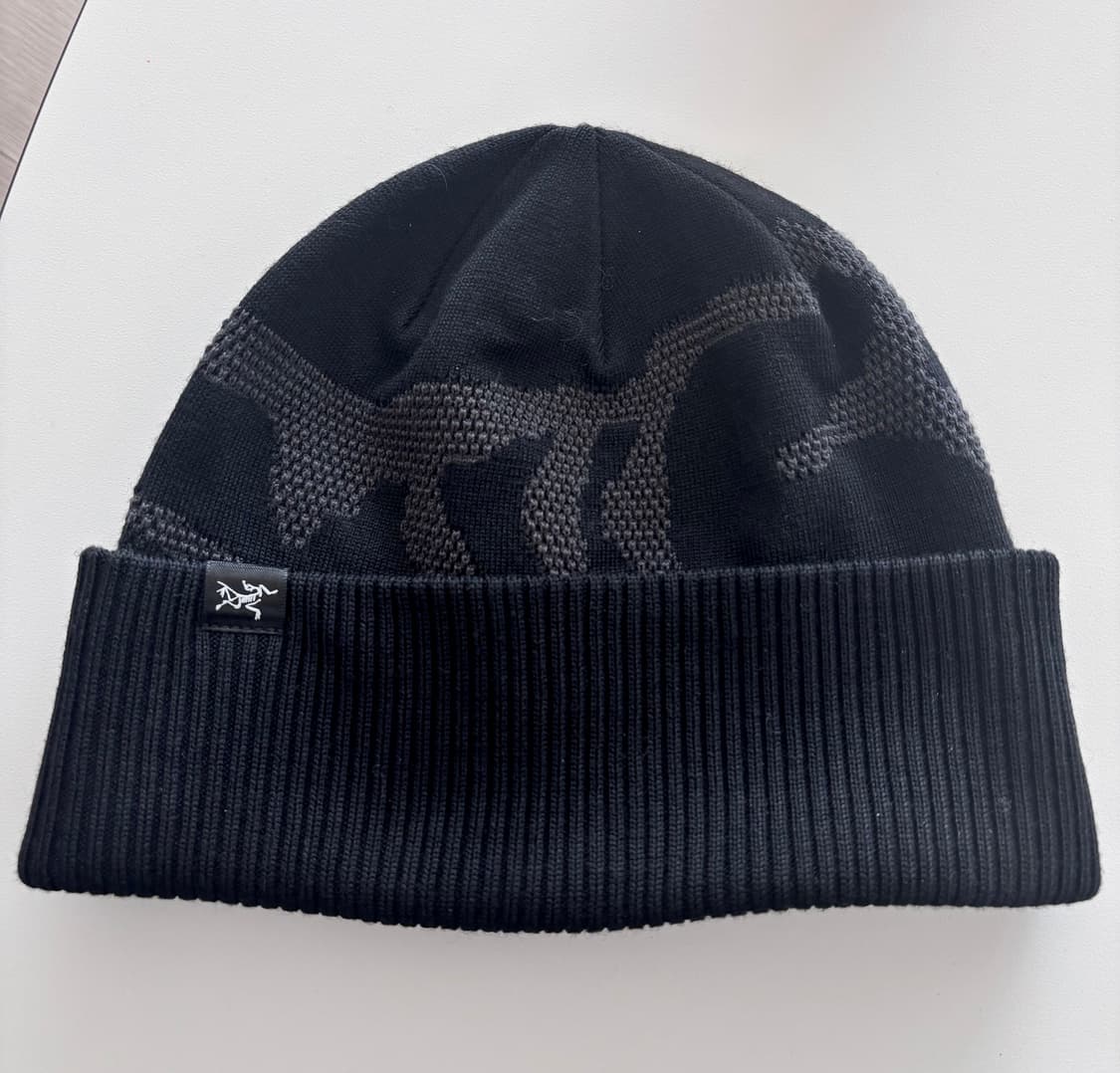 아크테릭스 그로토 립 토크 비니 상품이미지1