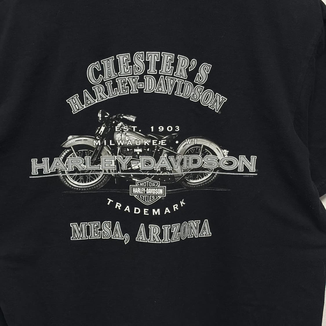 할리데이비슨 반팔 19 상품이미지4