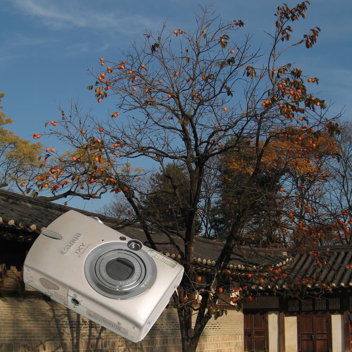 IXY Digital 700 / IXUS 750 (✨A급/🎁풀패키지) 상품이미지4