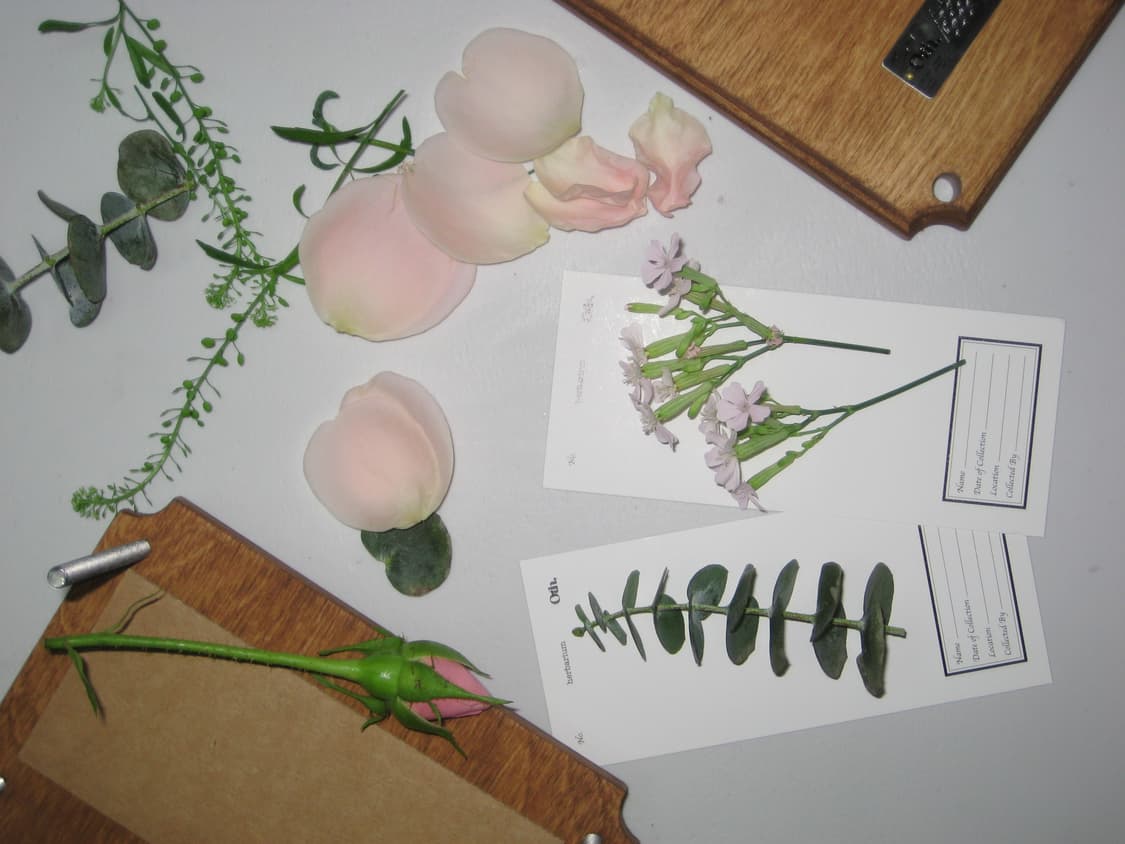 캐논 IXUS 70 ( IXY 10 ) 익시10 빈티지 디카 상품이미지7