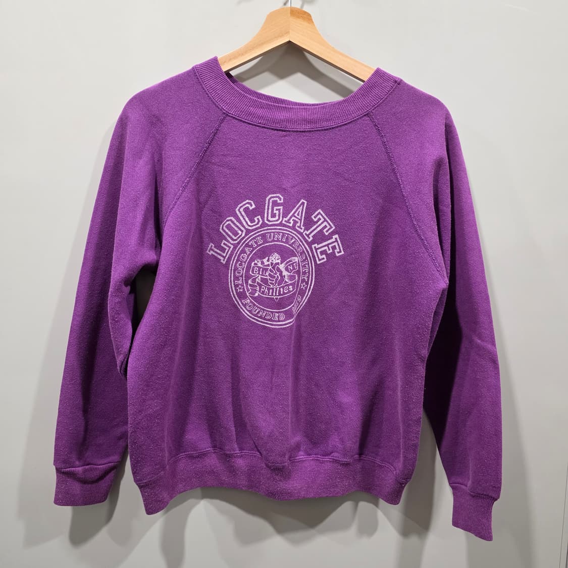 헤인즈(Hanes) 빈티지 그래픽 퍼플 맨투맨 상품이미지1