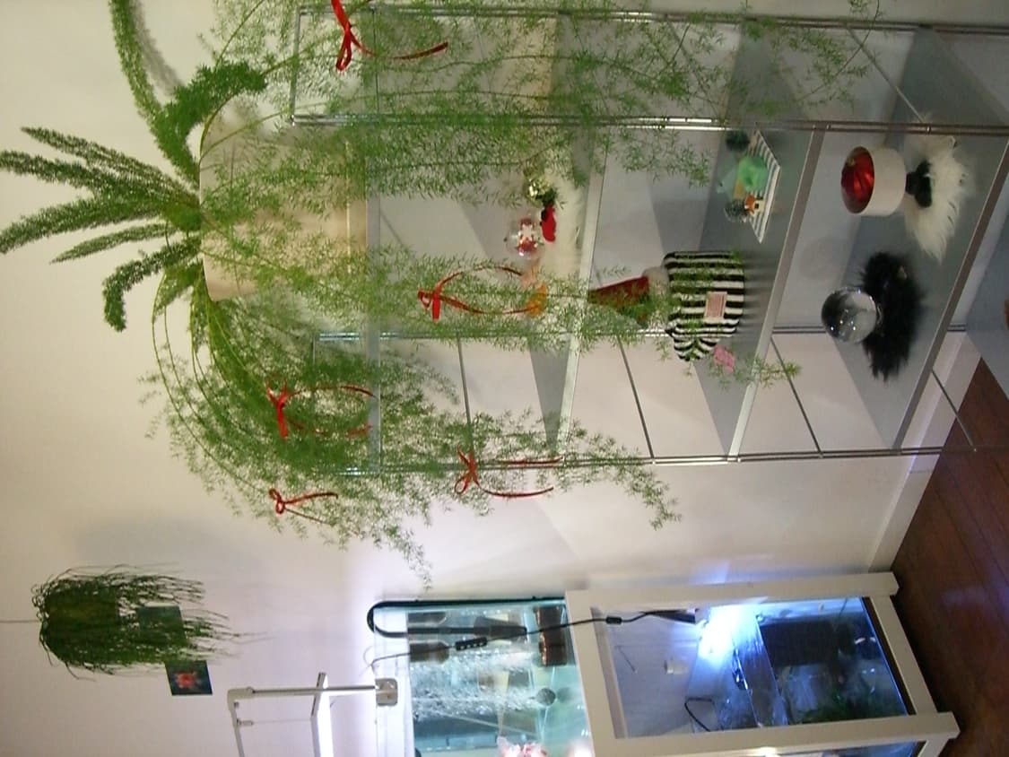 작례 O) 카시오 엑슬림 Casio Exilm EX-S500 상품이미지6