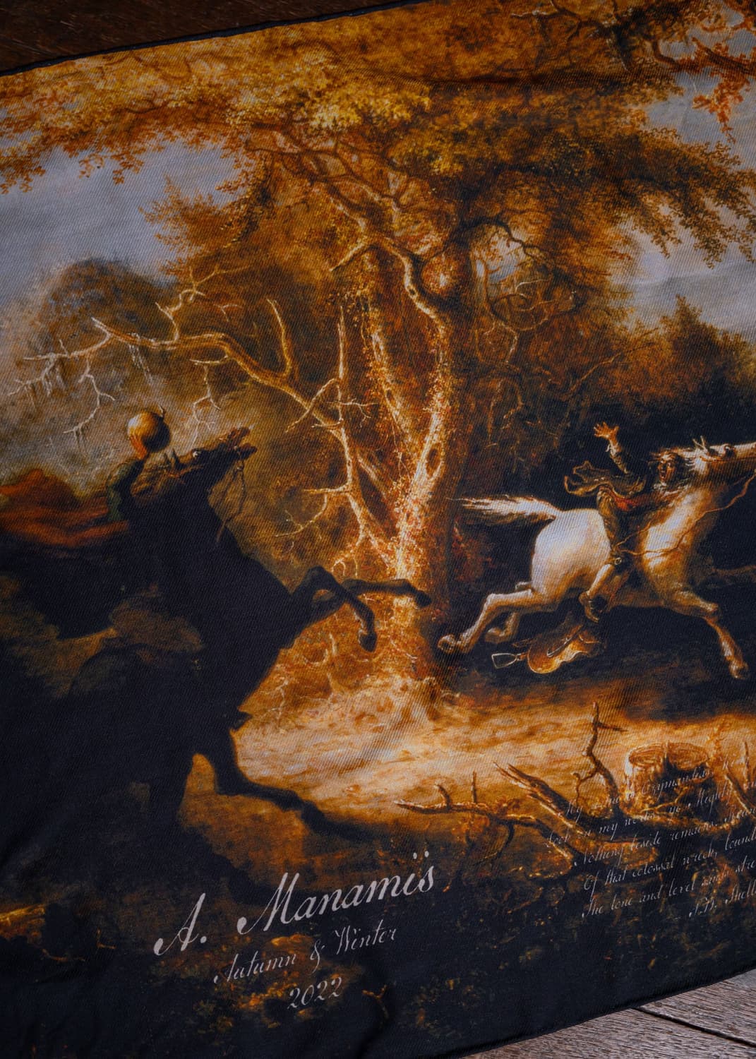 Aleksandr Manamis 22AW Print Scarf 상품이미지3