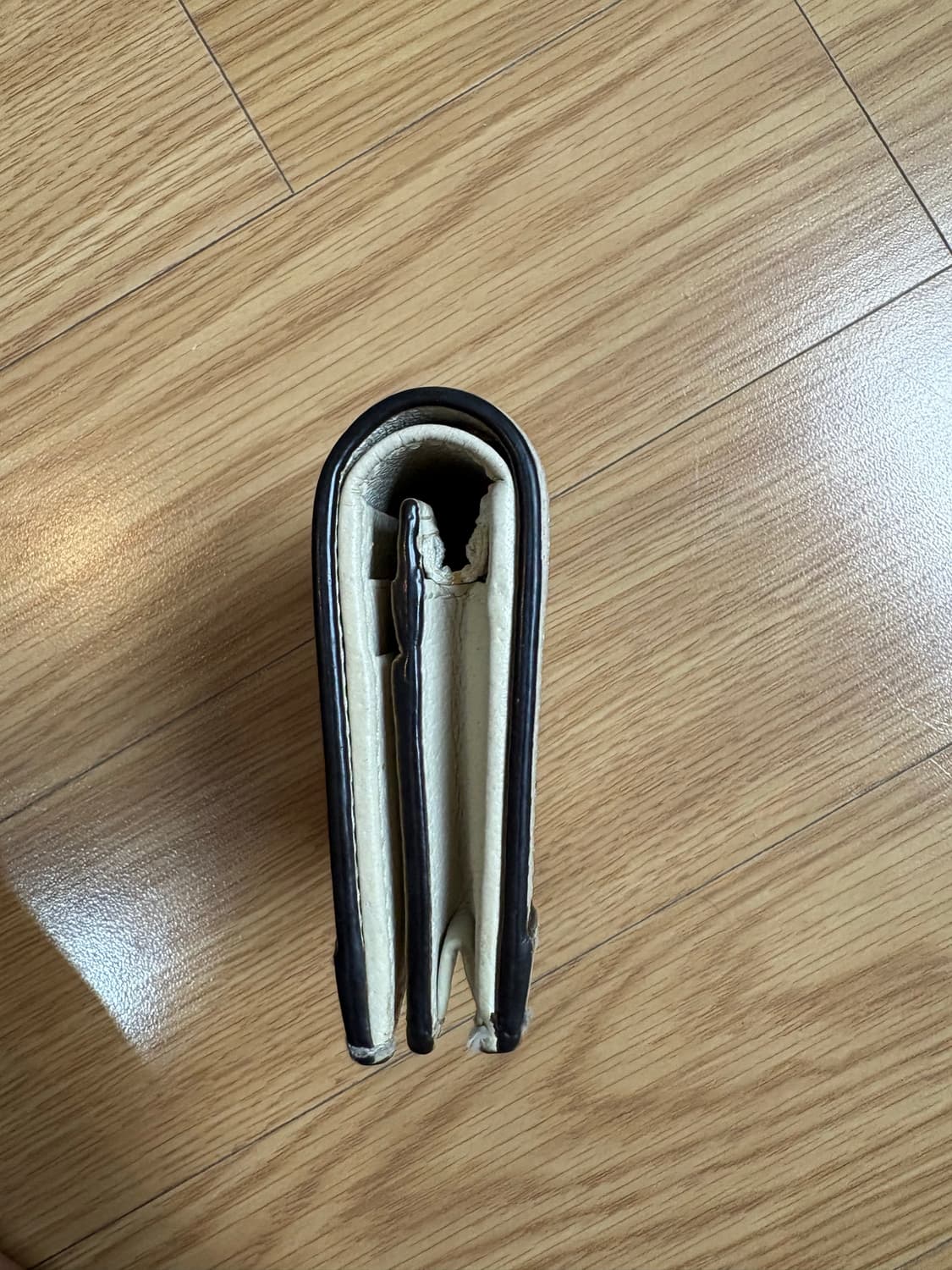 구찌 오피디아 반지갑 상품이미지4