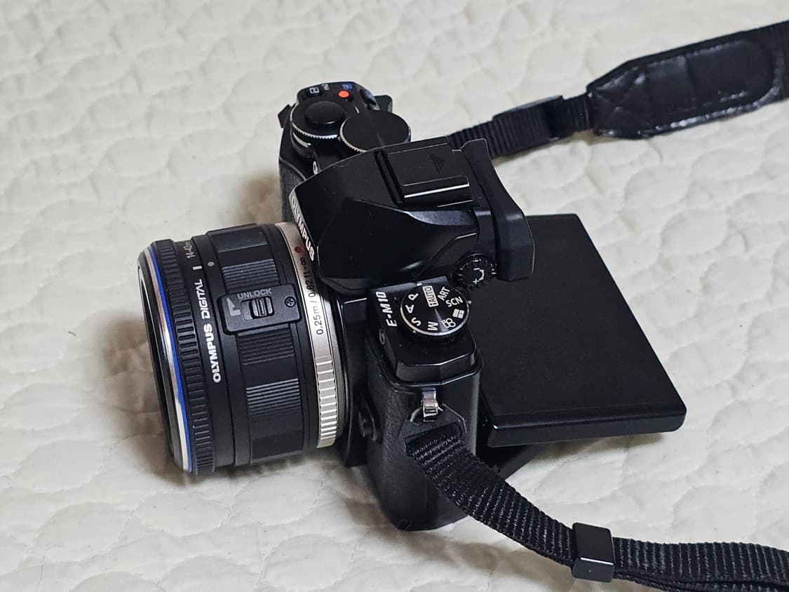 올림푸스 OM-D E-M10 미러리스 디지털 카메라 상품이미지4