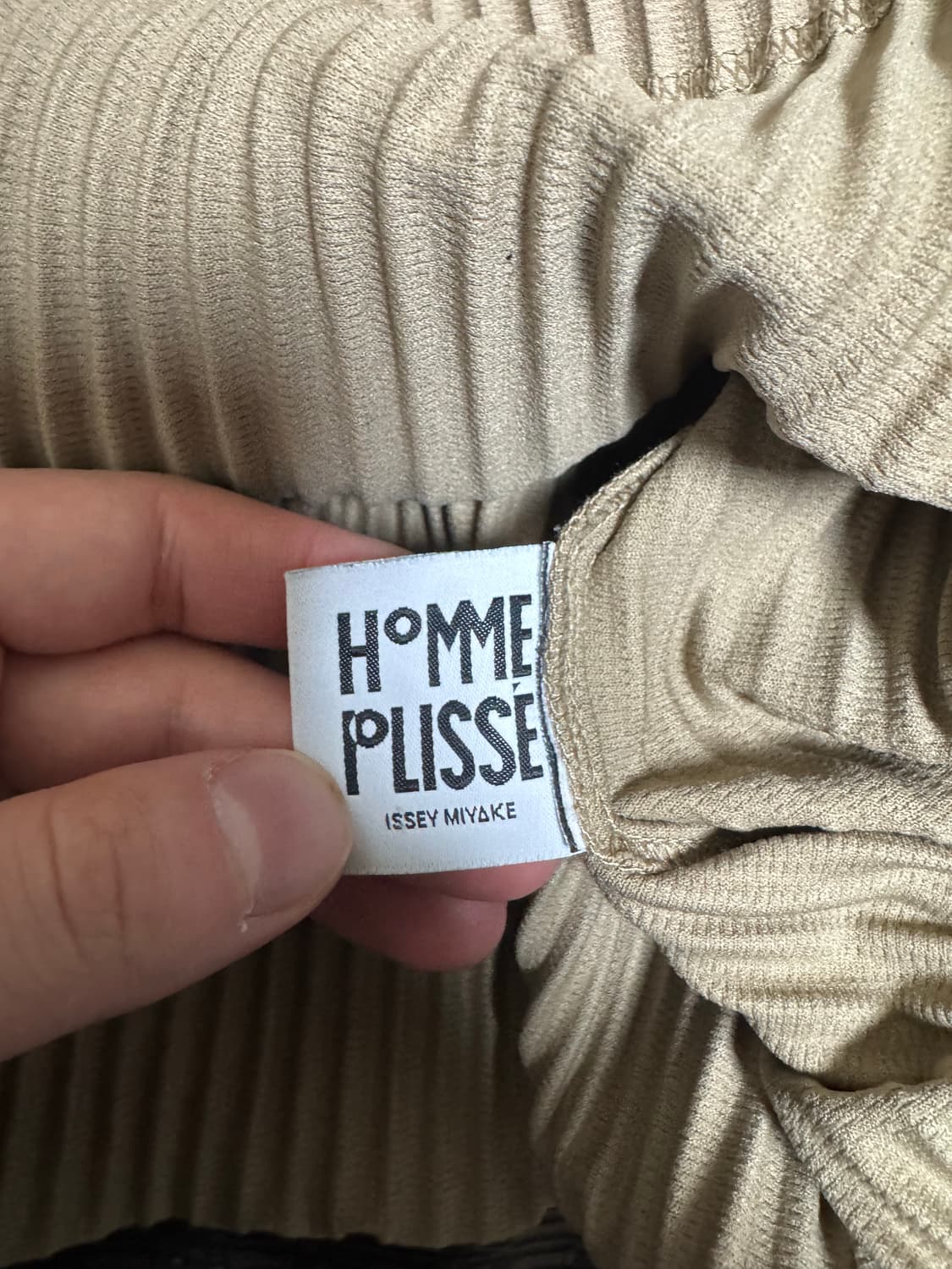 이세이미야케 반팔 상품이미지2