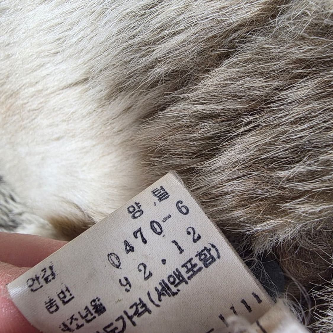 리얼 양가죽 태슬 셰르파 무스탕 코트 상품이미지7