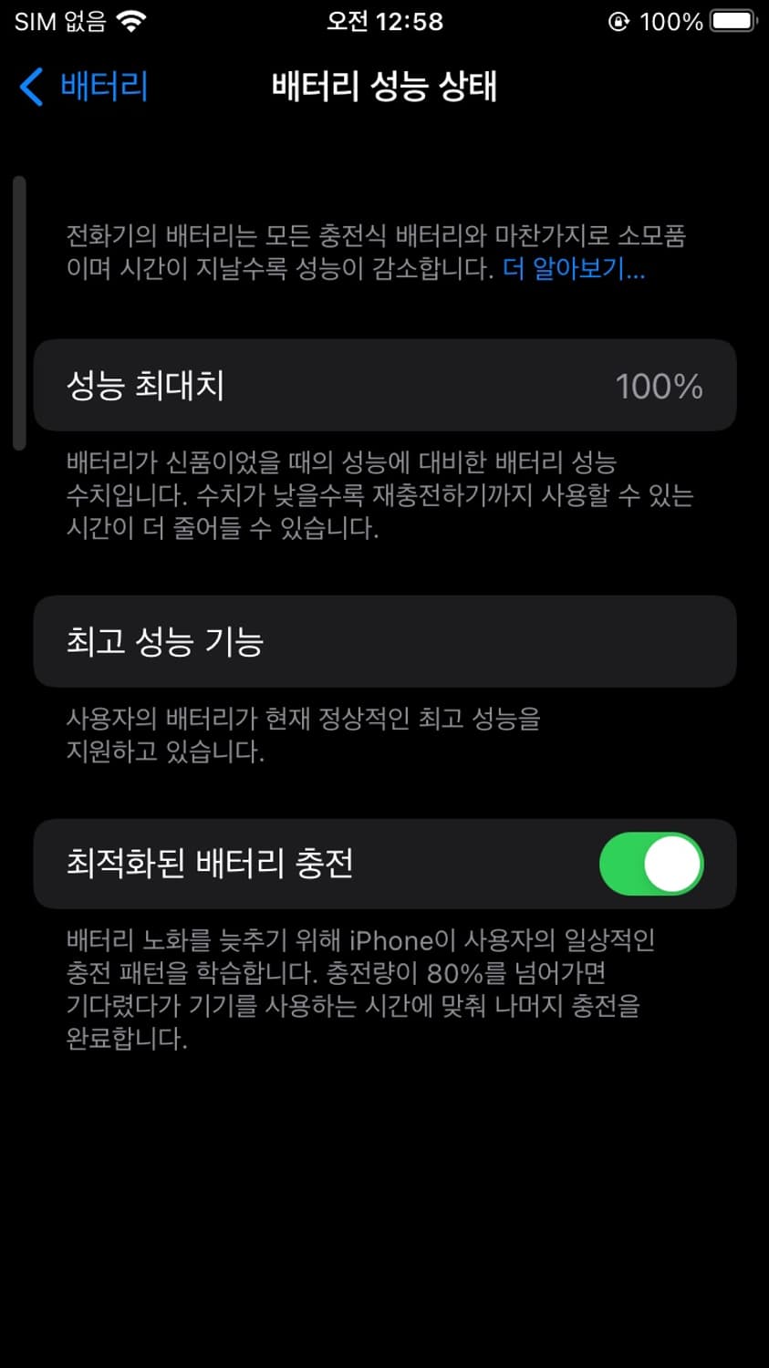 아이폰 6s 16기가 로즈골드 배터리 효율 100 상품이미지6